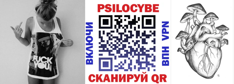 Купить где  Володарск  Галлюциногенные грибы Magic Shrooms 